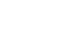 Vigier